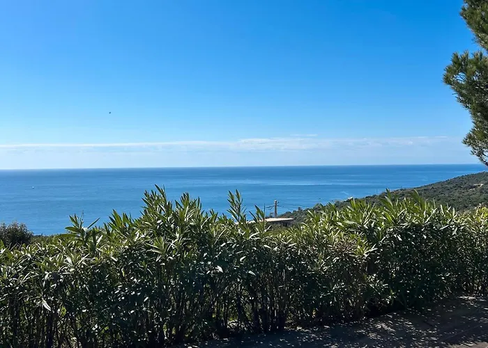 Stella Di Mare *